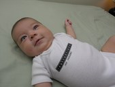 Enlarge photo 82