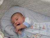 Enlarge photo 116