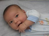 Enlarge photo 118