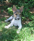 Enlarge photo 12