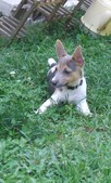 Enlarge photo 15