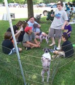 Puppy Picnics