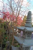 Enlarge photo 91