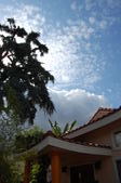 Enlarge photo 89