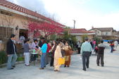 Enlarge photo 95