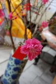 Enlarge photo 103