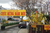 Enlarge photo 131