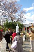 Enlarge photo 136
