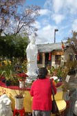 Enlarge photo 137