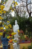 Enlarge photo 138