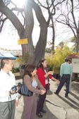 Enlarge photo 135