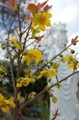 Enlarge photo 143