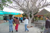 Enlarge photo 150