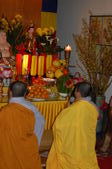Enlarge photo 154