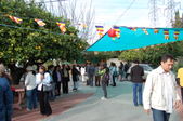 Enlarge photo 173