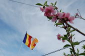 Enlarge photo 182