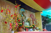 Enlarge photo 178