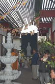 Enlarge photo 191