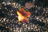 Enlarge photo 46