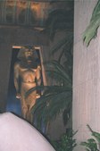 Enlarge photo 105