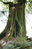 Enlarge photo 58