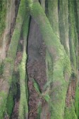 Enlarge photo 59