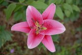 Enlarge photo 158