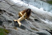 Enlarge photo 235