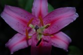 Enlarge photo 152