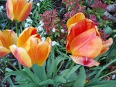Enlarge photo 33