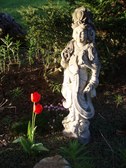 Enlarge photo 53