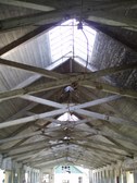 Enlarge photo 80