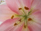 Enlarge photo 149
