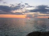 Enlarge photo 73