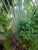 Enlarge photo 63