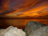 Enlarge photo 71