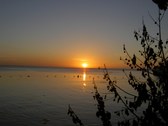 Enlarge photo 72