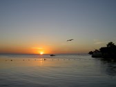Enlarge photo 70