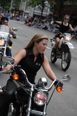 Enlarge photo 251