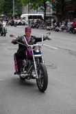 Enlarge photo 265