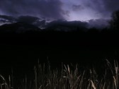 Enlarge photo 76