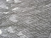 Enlarge photo 91