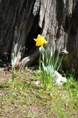 Enlarge photo 236