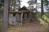 Enlarge photo 238