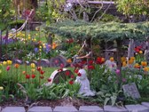 Enlarge photo 52