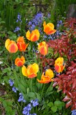 Enlarge photo 242