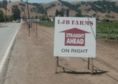 Ag - Crops