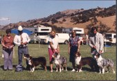 Enlarge photo 32