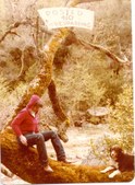 Enlarge photo 45