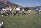 Enlarge photo 47